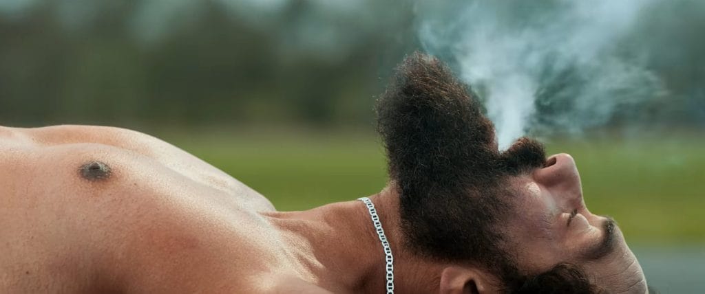 Screenshot of Animal Movie